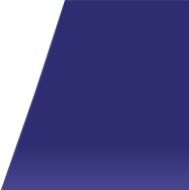 Professional Electrical