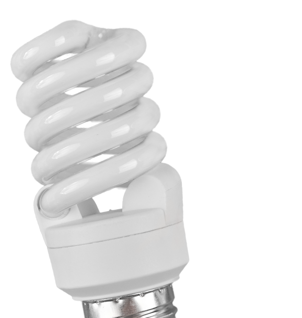 Professional Plumbers